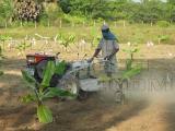 agriculture workers