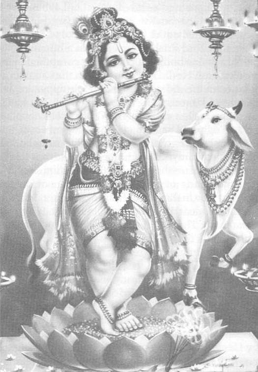 krishna.jpg